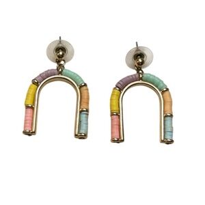 Color Block Earrings